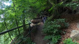 Mullerthal W3 wandeling